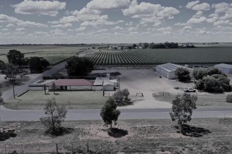 65 Trenerry Avenue, Loxton SA 5333