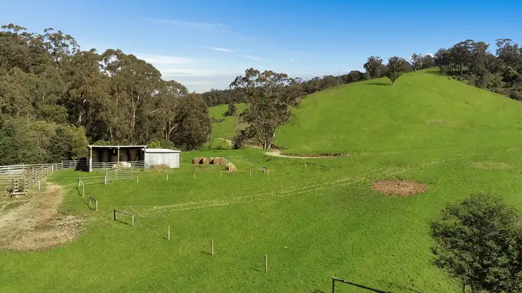 Third view of Homely rural property listing, Lot 1 Albert River Rd, Hiawatha VIC 3971