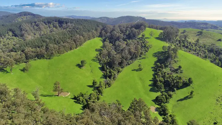 Fourth view of Homely rural property listing, Lot 1 Albert River Rd, Hiawatha VIC 3971