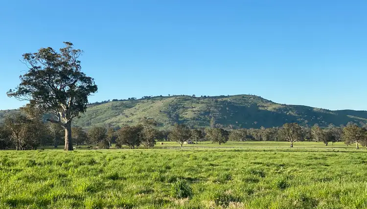 80 Millards Lane, Euroa VIC 3666
