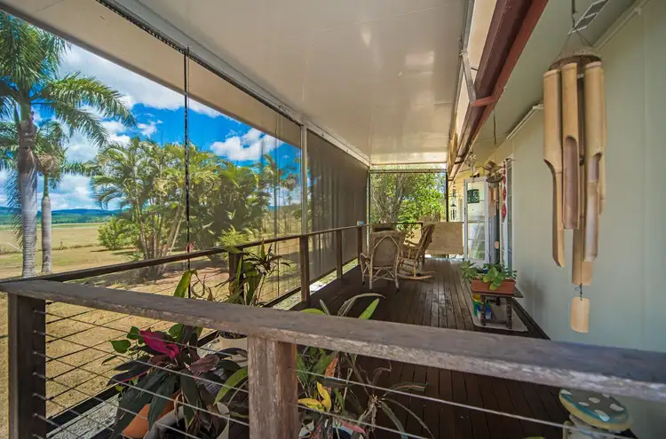 Fifth view of Homely house listing, 39 Brown Road, Cannon Valley QLD 4800