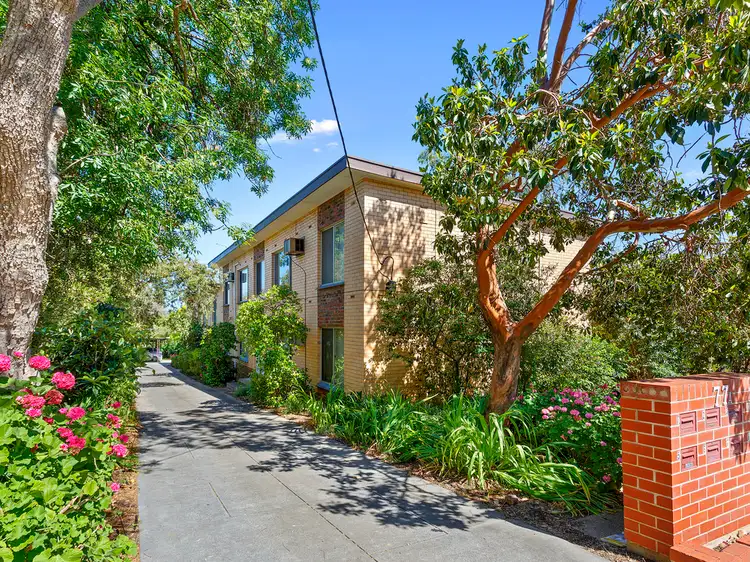 8/77a Lockwood Road, Burnside SA 5066