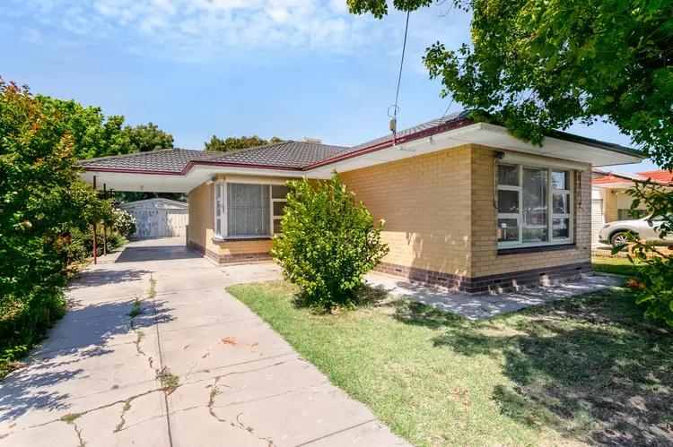 16 Nilpena Avenue, Park Holme SA 5043