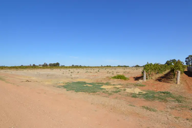Second view of Homely house listing, 42 Dumosa Street, Red Cliffs VIC 3496
