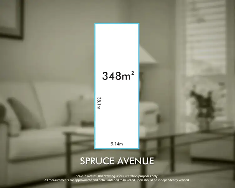 19 Spruce Ave, Warradale SA 5046
