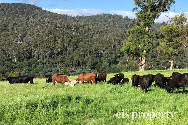 Second view of Homely land listing, 1185 Native Corners Road, Campania TAS 7026