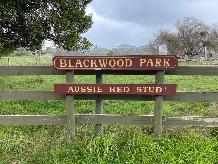 Second view of Homely rural property listing, 429 Timboon-Colac Road, Timboon VIC 3268