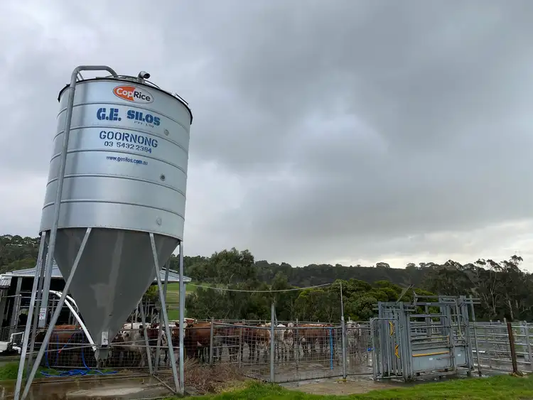 Fourth view of Homely rural property listing, 429 Timboon-Colac Road, Timboon VIC 3268