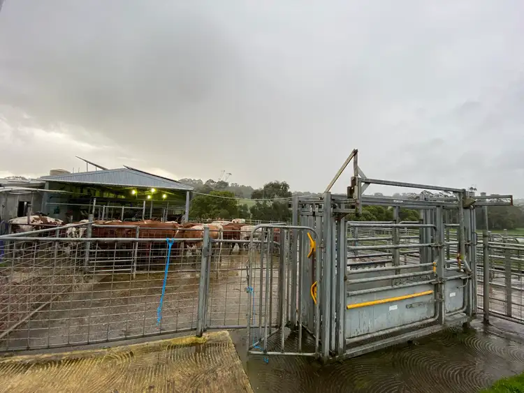 Fifth view of Homely rural property listing, 429 Timboon-Colac Road, Timboon VIC 3268