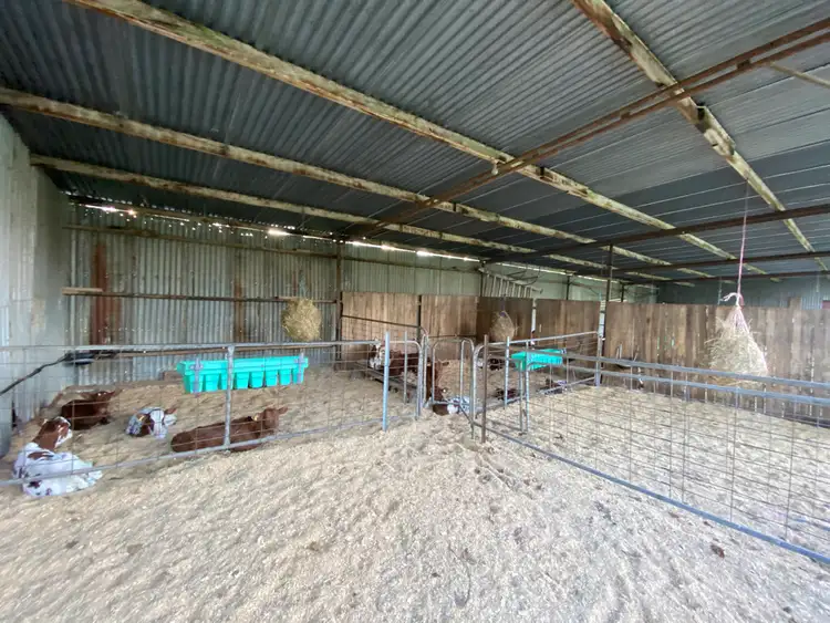 Seventh view of Homely rural property listing, 429 Timboon-Colac Road, Timboon VIC 3268