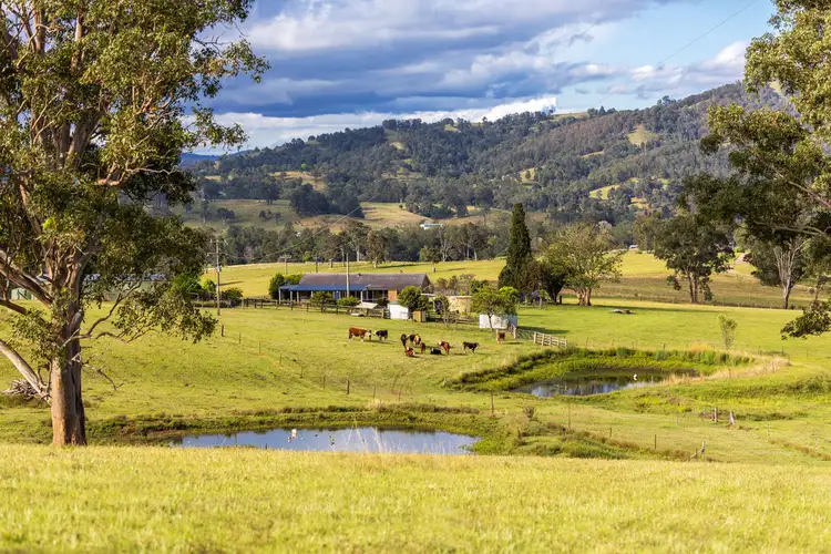 103 Butchers Creek Road, Wherrol Flat NSW 2429