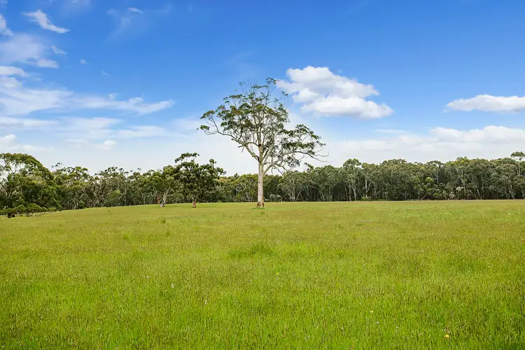 Second view of Homely rural property listing, 247B THORBURNS ROAD, Laang VIC 3265