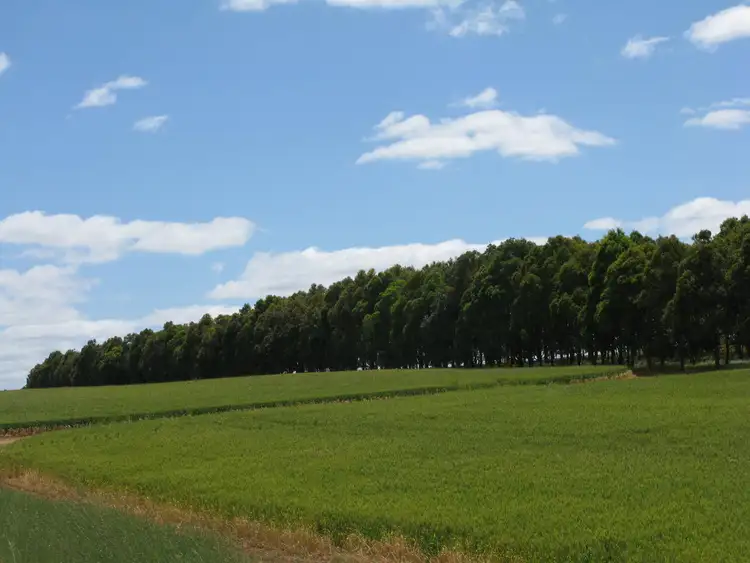 Third view of Homely rural property listing, Lot 102 Wingebellup Road, Frankland River WA 6396