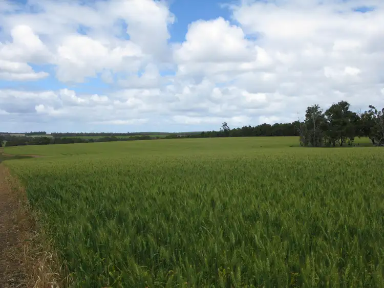Fourth view of Homely rural property listing, Lot 102 Wingebellup Road, Frankland River WA 6396