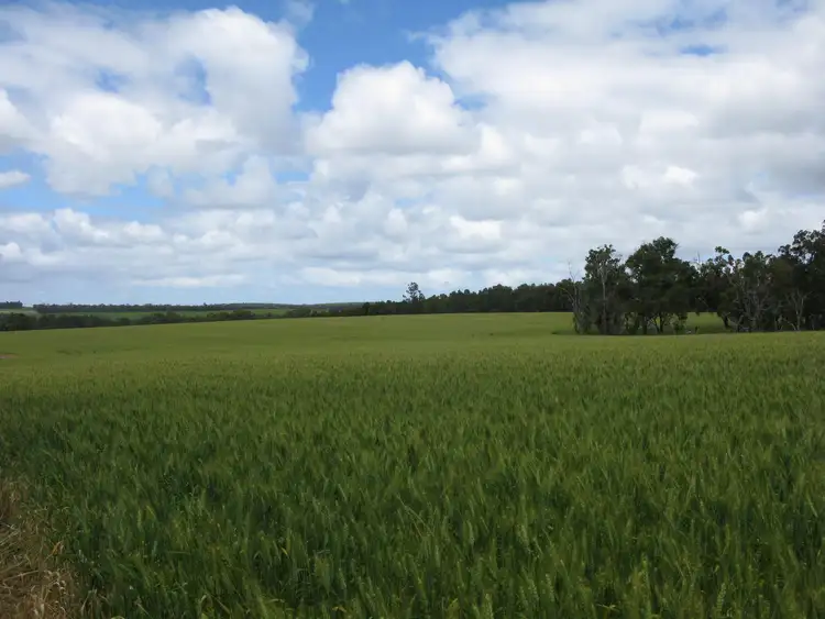 Fifth view of Homely rural property listing, Lot 102 Wingebellup Road, Frankland River WA 6396