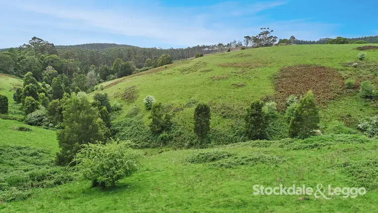 Third view of Homely rural property listing, Lot 1 Grand Ridge Road, Boolarra South VIC 3870