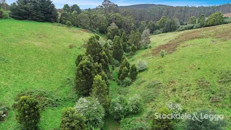 Fourth view of Homely rural property listing, Lot 1 Grand Ridge Road, Boolarra South VIC 3870