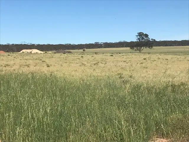 15500 Eyre Highway, Kimba SA 5641