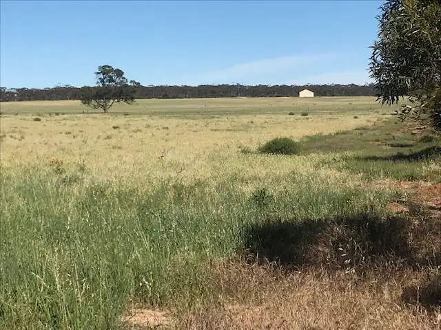Second view of Homely land listing, 15500 Eyre Highway, Kimba SA 5641