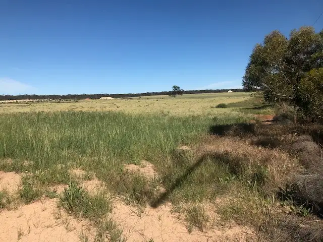 Seventh view of Homely land listing, 15500 Eyre Highway, Kimba SA 5641