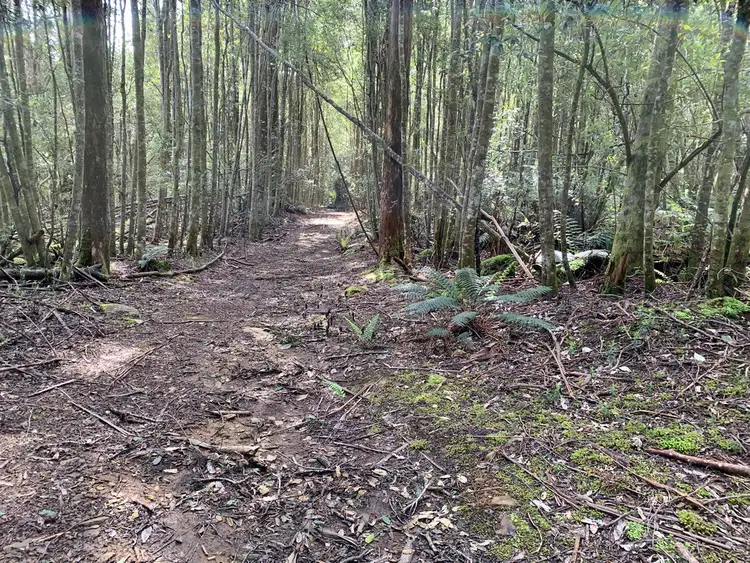 Second view of Homely land listing, 465 Mountain Road, Lilydale TAS 7268