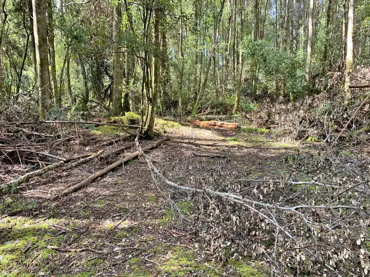 Third view of Homely land listing, 465 Mountain Road, Lilydale TAS 7268