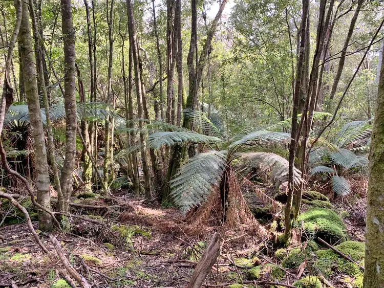 Fourth view of Homely land listing, 465 Mountain Road, Lilydale TAS 7268