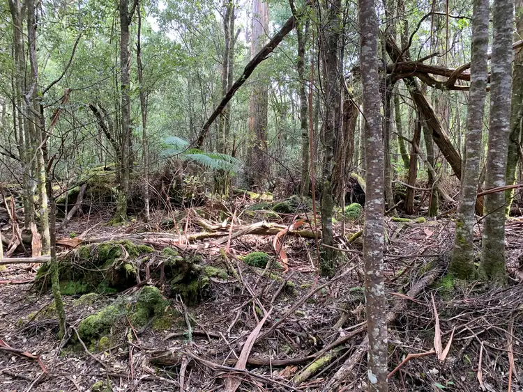 Fifth view of Homely land listing, 465 Mountain Road, Lilydale TAS 7268