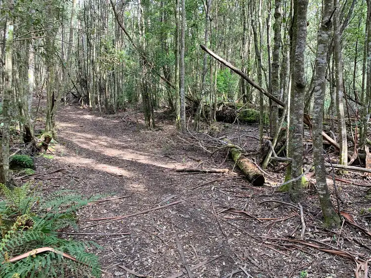 Sixth view of Homely land listing, 465 Mountain Road, Lilydale TAS 7268