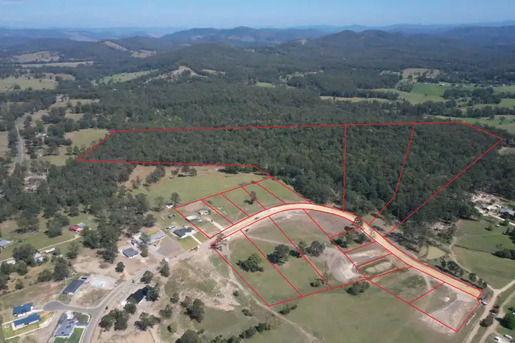 Lot 301 3 Neville Road, Beechwood NSW 2446