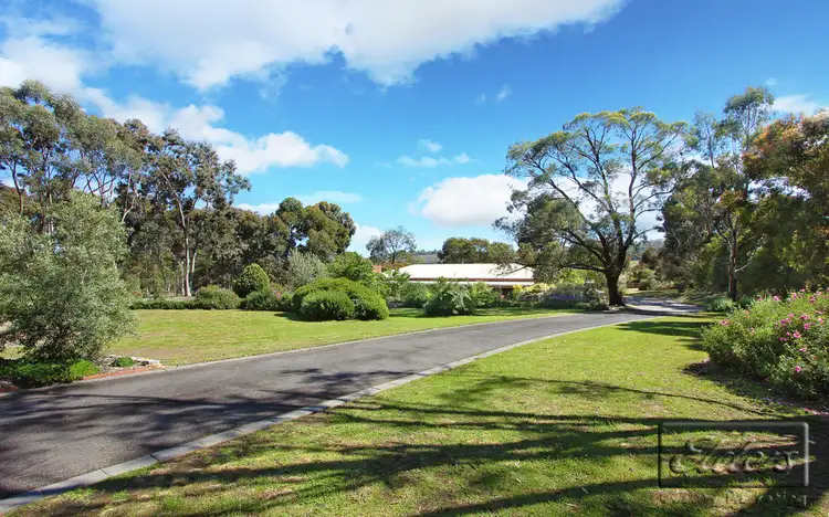 Fifth view of Homely rural property listing, 60 Belvoir Park Road, Ravenswood VIC 3453