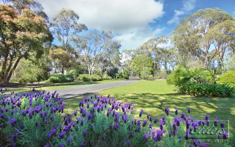 Sixth view of Homely rural property listing, 60 Belvoir Park Road, Ravenswood VIC 3453