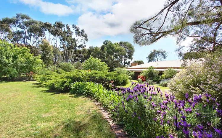 Seventh view of Homely rural property listing, 60 Belvoir Park Road, Ravenswood VIC 3453