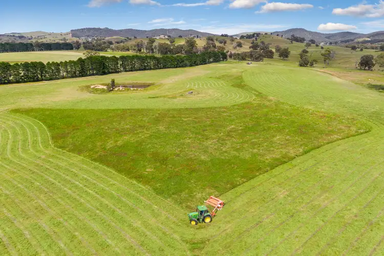 Fifth view of Homely rural property listing, 2625 Seymour-Tooborac Road, Tooborac VIC 3522
