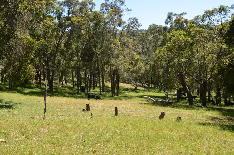 Fifth view of Homely rural property listing, Lot 196 Charley Creek Road, Thomson Brook WA 6239
