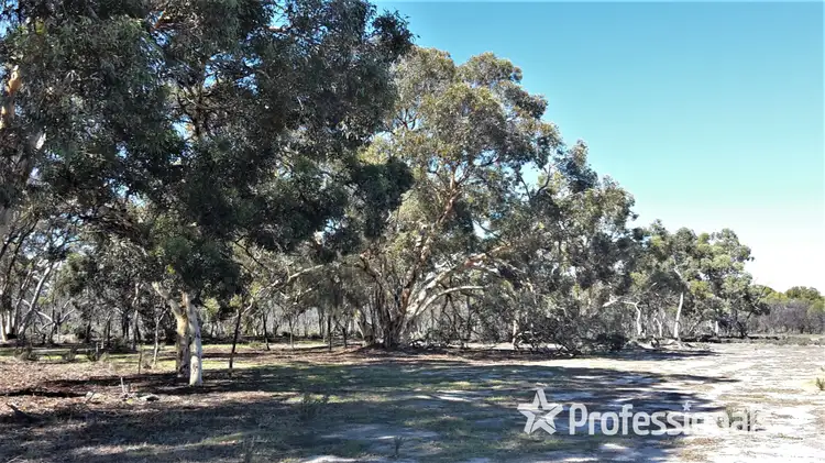Main view of Homely rural property listing, Lot 5062 Butler Road, Wickepin WA 6370
