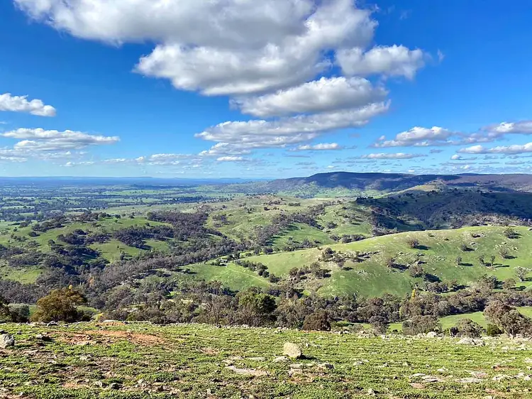 Second view of Homely rural property listing, 595 Harrys Creek Rd, Violet Town VIC 3669