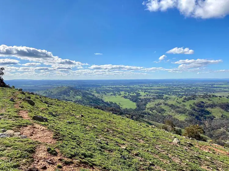 Third view of Homely rural property listing, 595 Harrys Creek Rd, Violet Town VIC 3669