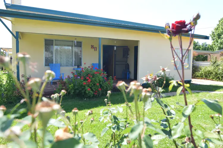 Main view of Homely house listing, 21 Tiltao Street, Dareton NSW 2717