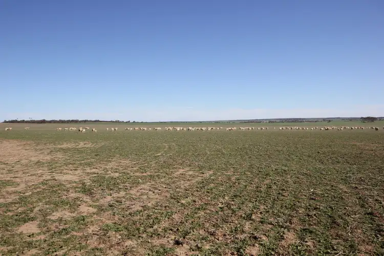 Main view of Homely rural property listing, Lot 18330 Wogarl West Road, Cramphorne WA 6420