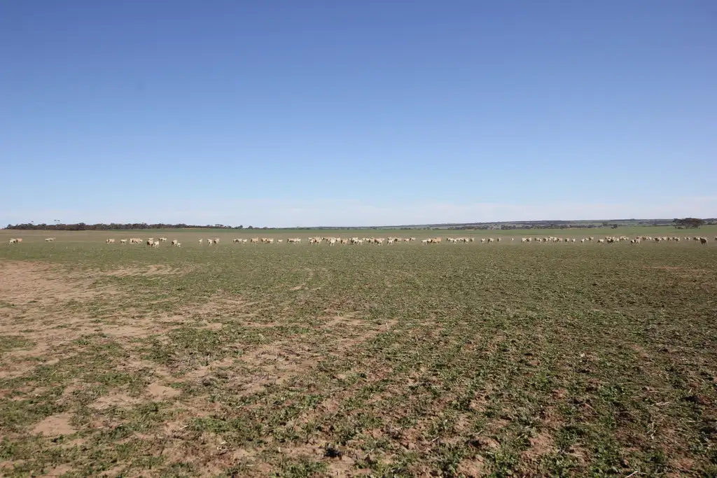 Main view of Homely rural property listing, Lot 18330 Wogarl West Road, Cramphorne WA 6420
