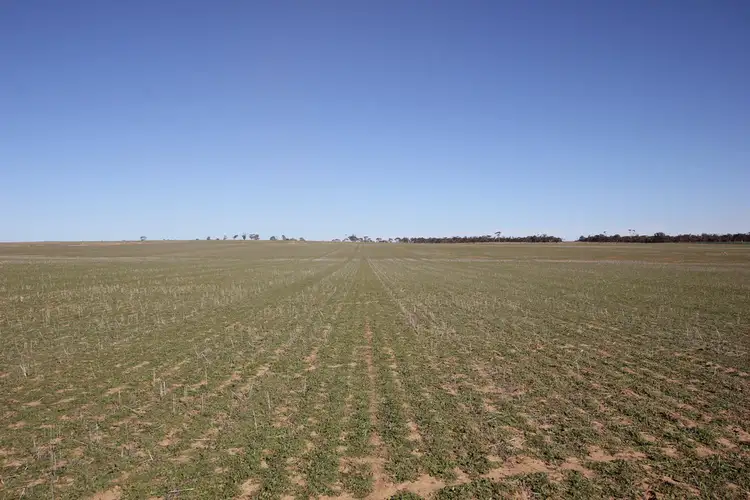 Third view of Homely rural property listing, Lot 18330 Wogarl West Road, Cramphorne WA 6420