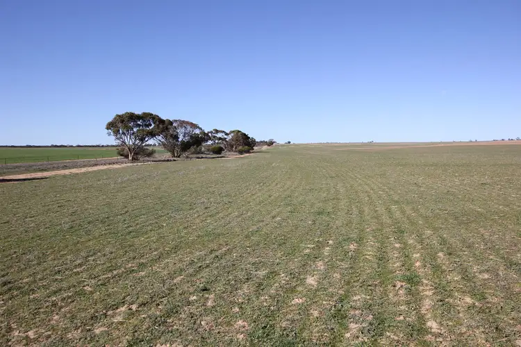 Fourth view of Homely rural property listing, Lot 18330 Wogarl West Road, Cramphorne WA 6420