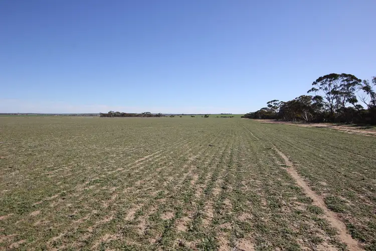 Sixth view of Homely rural property listing, Lot 18330 Wogarl West Road, Cramphorne WA 6420