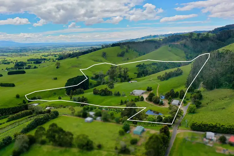 Main view of Homely rural property listing, 201 PETERSONS ROAD, Ellinbank VIC 3821