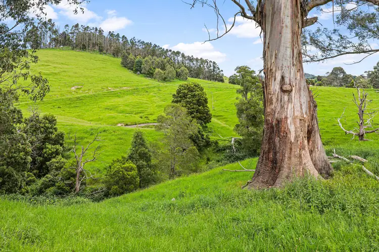 Third view of Homely rural property listing, 201 PETERSONS ROAD, Ellinbank VIC 3821