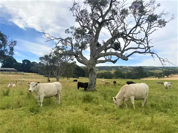 1789 Bull Creek Road, Ashbourne SA 5157