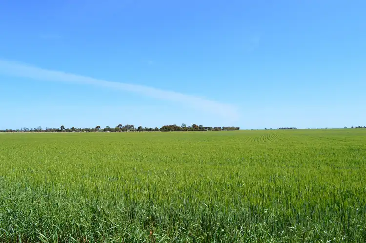 Main view of Homely rural property listing, - Big Rabbit Road, Lower Light SA 5501