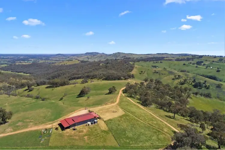 905 Brewers Road, Indigo Valley VIC 3688