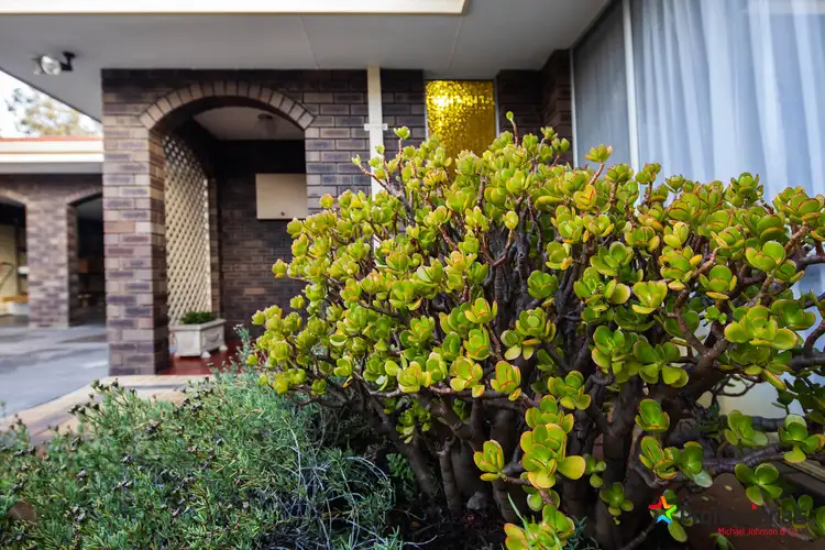 Second view of Homely house listing, 65B Havenvale Crescent, Dianella WA 6059